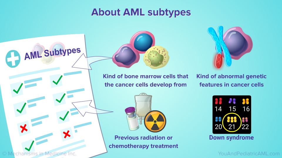 About AML subtypes