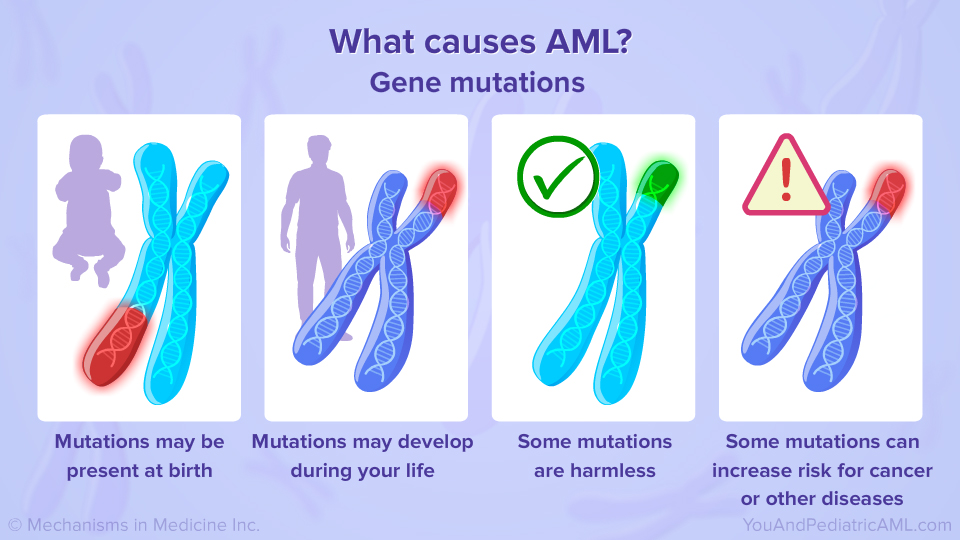What causes AML?