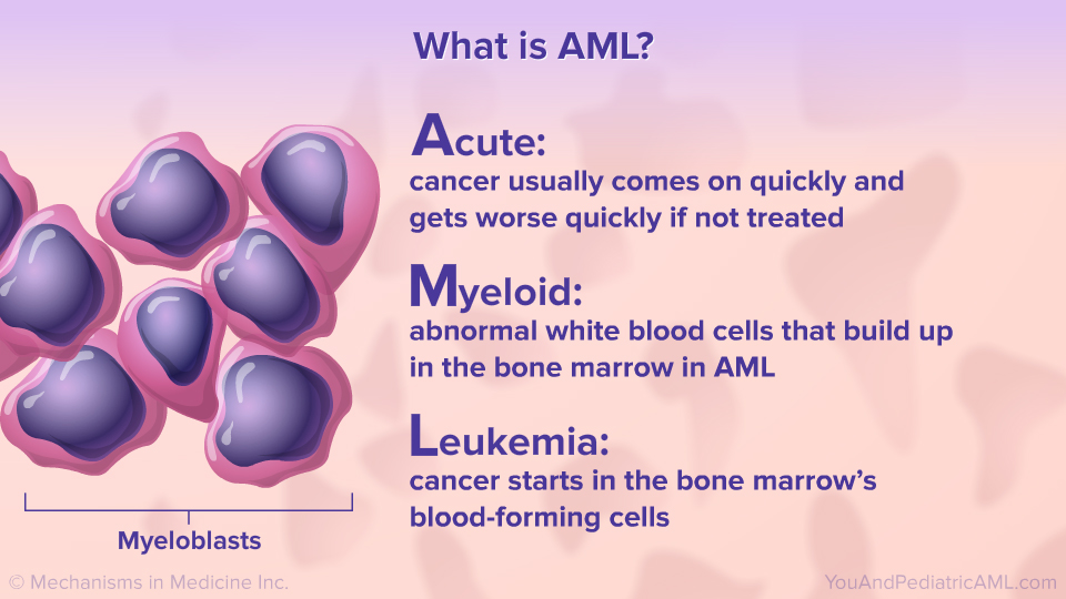 What is AML?